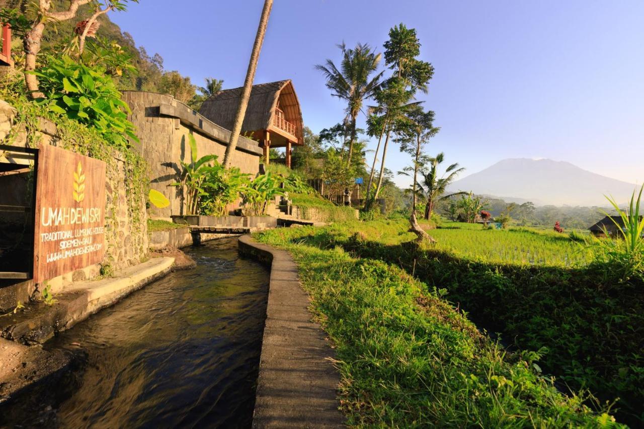 Romantic Barn With Mt. Agung Views サイドメン エクステリア 写真
